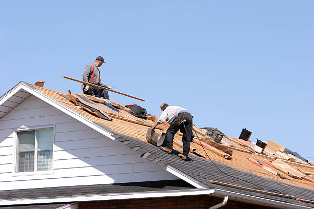 Best Sheet Metal Roofing  in Raynham Center, MA